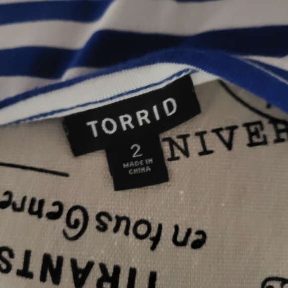 Blue and White Striped Torrid Dress - Picture 5 of 5